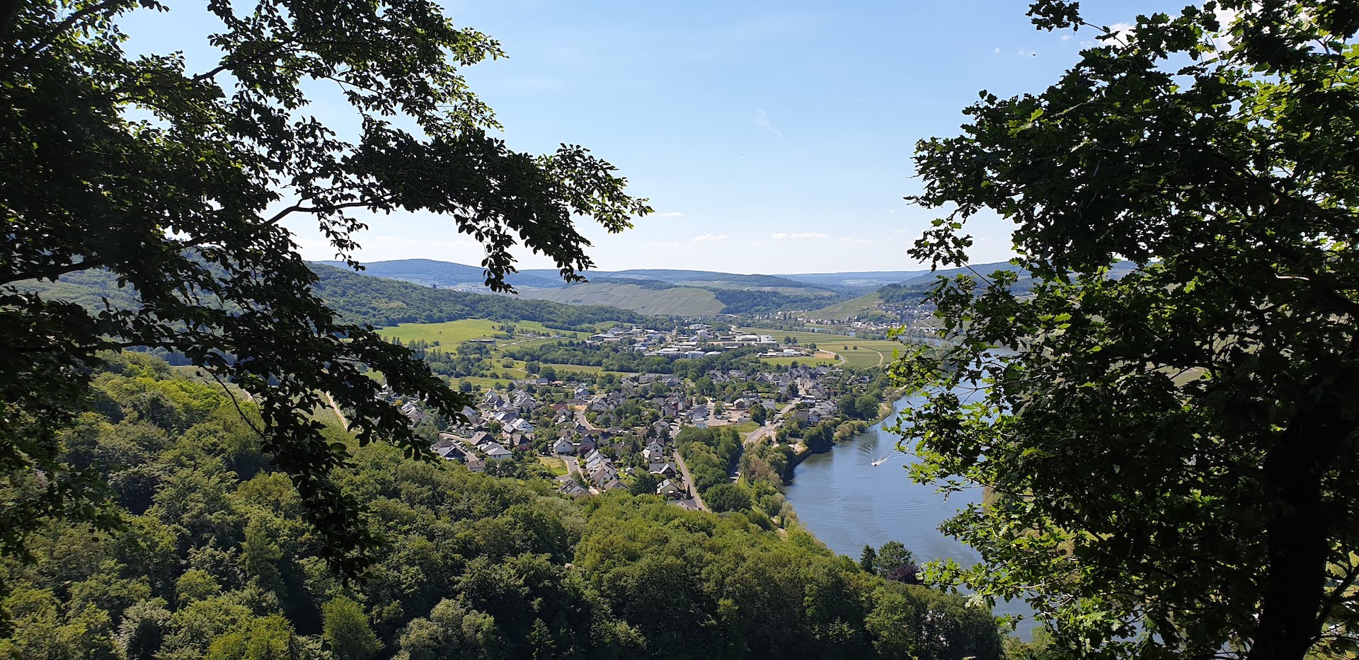 Blick auf Andel an der Mittelmosel